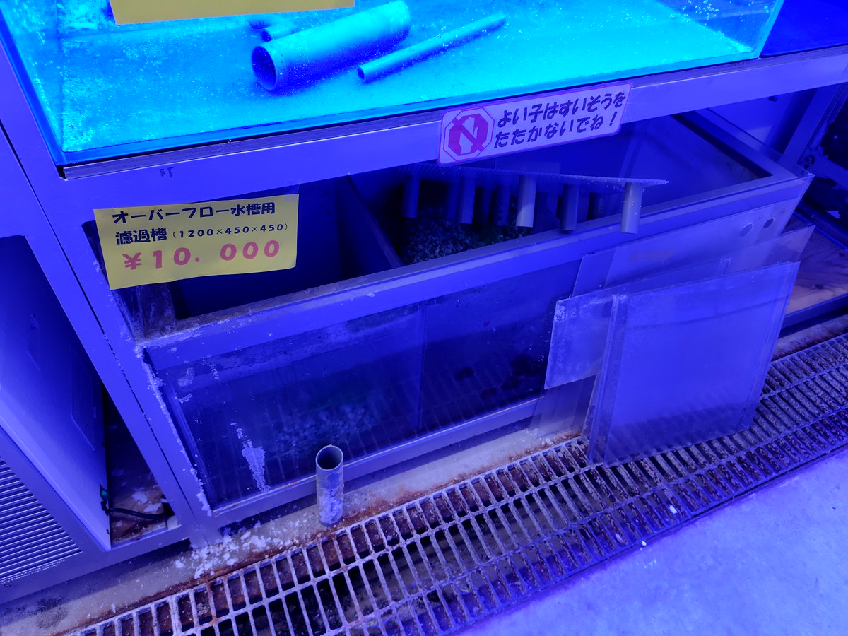 エサ用の金魚、メダカは本日が最終入荷となります。 用品も追加入荷 