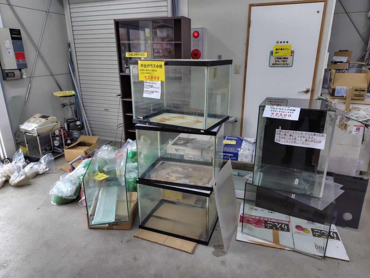 エサ用の金魚、メダカは本日が最終入荷となります。 用品も追加入荷 