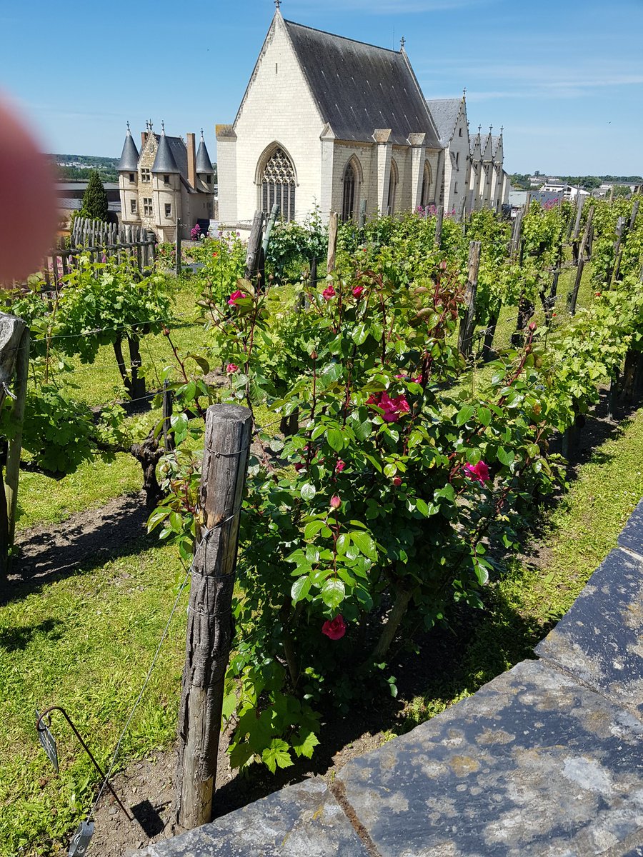 Isabelle Gramoullé🇨🇵🇪🇺 (@isagram49) on Twitter photo #CultureAngers🏰
Profitez de la #NuitEuropéenneDesMusées au Château d'Angers pour visiter le monument avec la Fanfare du <a href="/6_e_rg/">6e régiment du génie</a>, rencontrer un artiste et découvrir les œuvres en nocturne !
🗓 samedi 17 mai
⏰️de 19h à minuit
🎫 gratuit
chateau-angers.fr/agenda/nuit-eu… #CultureAngers🏰
Profitez de la #NuitEuropéenneDesMusées au Château d'Angers pour visiter le monument avec la Fanfare du <a href="/6_e_rg/">6e régiment du génie</a>, rencontrer un artiste et découvrir les œuvres en nocturne !
🗓 samedi 17 mai
⏰️de 19h à minuit
🎫 gratuit
chateau-angers.fr/agenda/nuit-eu…