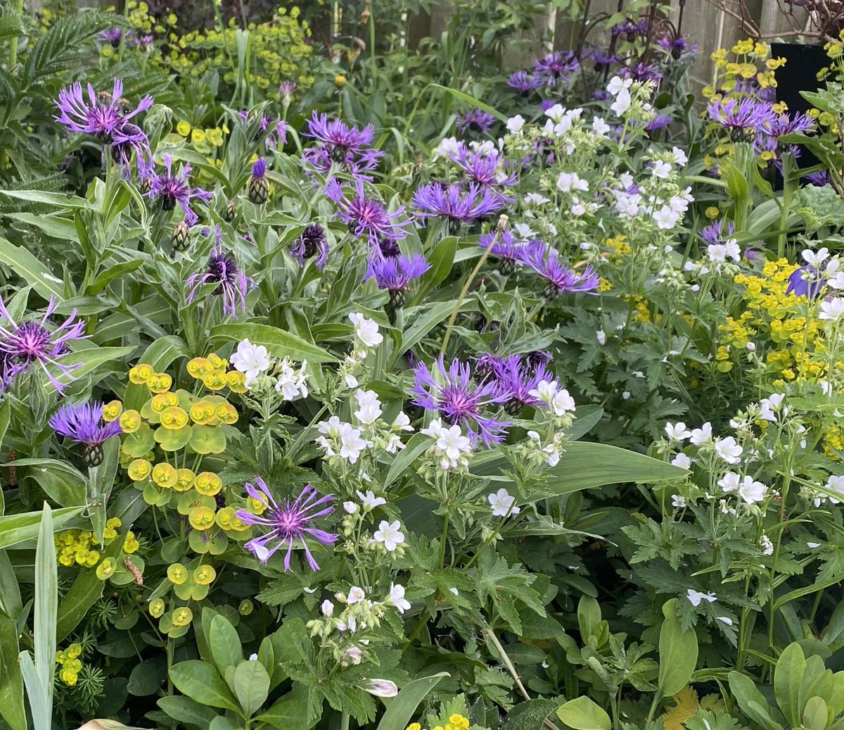 Suffragette corner