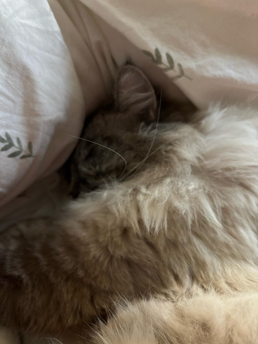He's eepy