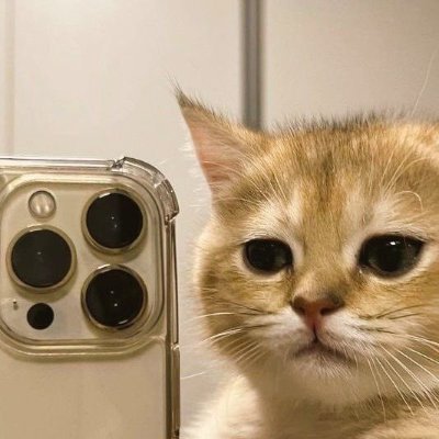 😊😊🤣take a selfie