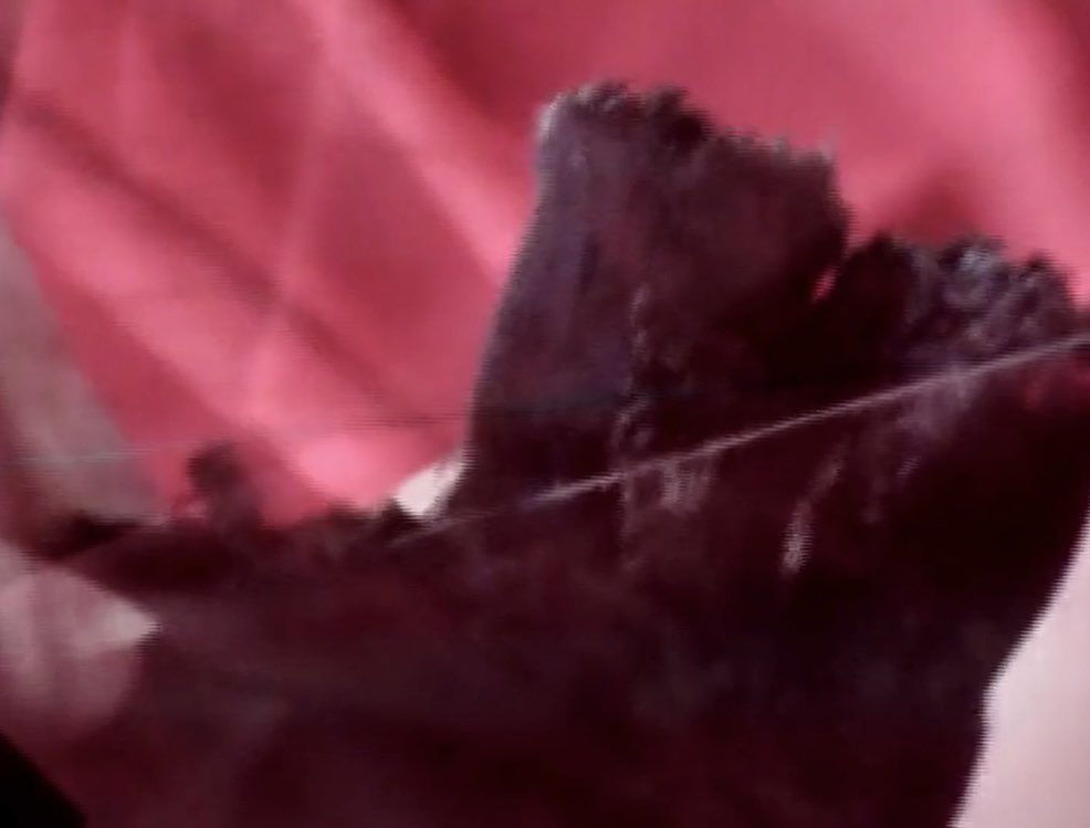 ◯ (@acarerepuo) on Twitter photo 