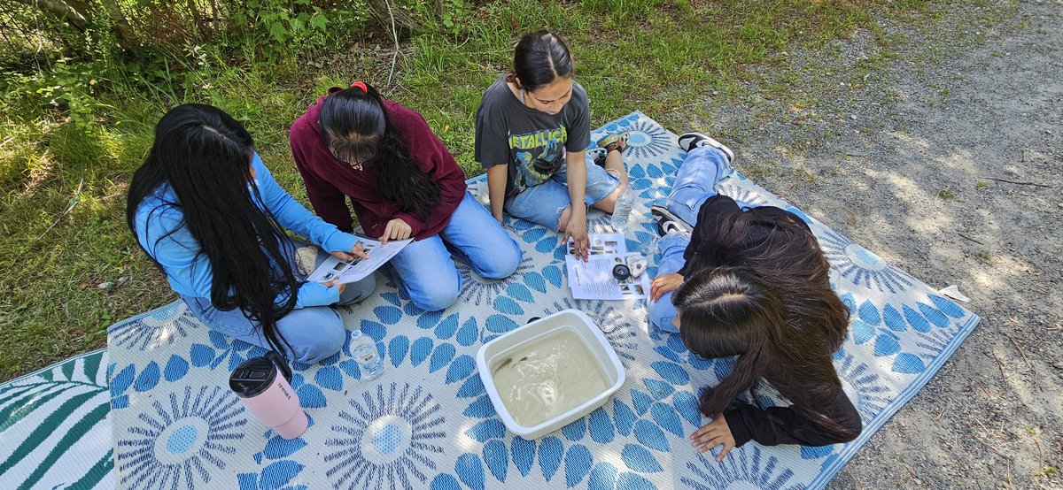 Our 5th graders traded pencils for pipettes at Paradise Creek! 🧪 They tested pH 🧪, temperature 🌡️, and salinity 🌊, observed how plants 🌿 prevent erosion, went bird watching 🦅, &amp; classified local species using a dichotomous key 🔍. So proud of their curiosity! #TreaklePride