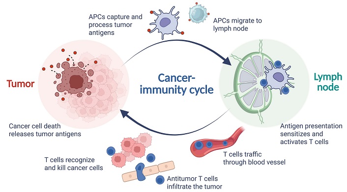 Exploration of Targeted Anti-tumor Therapy (@etat_journal) on Twitter photo 💫 Harnessing the power of tumor-draining lymph nodes: unveiling predictive biomarkers for #immune #checkpoint #inhibitor.
explorationpub.com/Journals/etat/…
🧑⚕️Authors: Dr. Lei Wang, etc.
📨Contact us: etatjournal@explorationpub.com
#Tumor #Oncology #APCdiscount 💫 Harnessing the power of tumor-draining lymph nodes: unveiling predictive biomarkers for #immune #checkpoint #inhibitor.
explorationpub.com/Journals/etat/…
🧑⚕️Authors: Dr. Lei Wang, etc.
📨Contact us: etatjournal@explorationpub.com
#Tumor #Oncology #APCdiscount