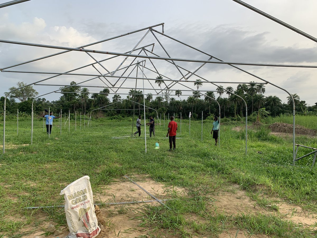 itzjaykuzzy's tweet image. In a Nation where poverty is weaponized and hunger is a disease spread like wildfire due to the high cost of food. Smart thinking is of the essence!
The gap between our grandparents who were farmers and our present generation just keeps getting slimmer and slimmer.