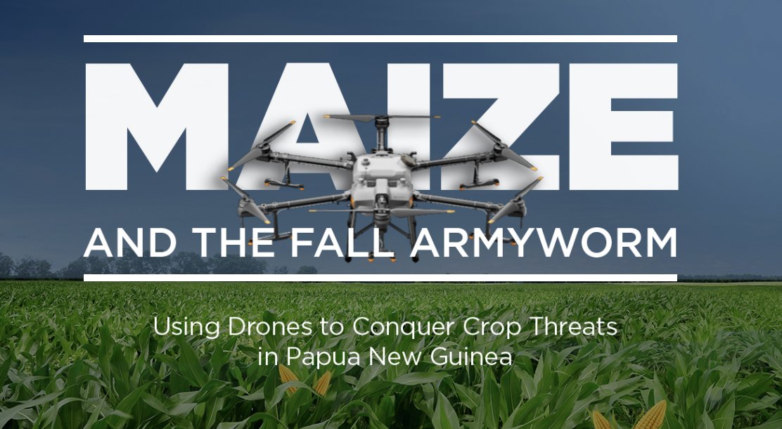 Dimitra is making noise when it comes to making a difference in the world of farmers. 

In this thread, I will outline how $DMTR is switching up things in regards to Maize.

Let's go 🫡👇🏄‍♂️