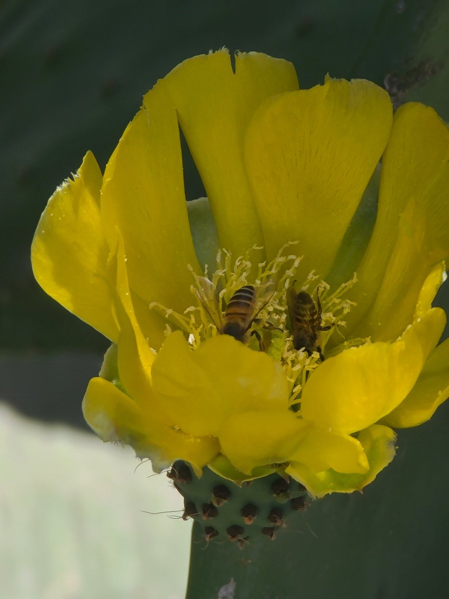 حياة جميلة جداً