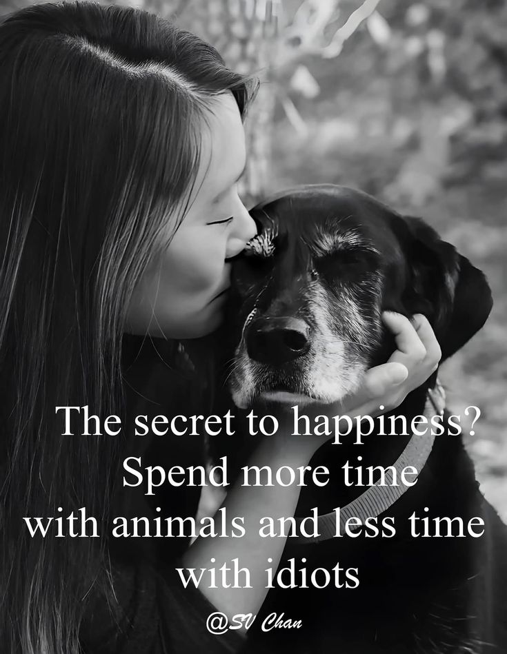 Dog Lovers (@doglovers03) on Twitter photo 