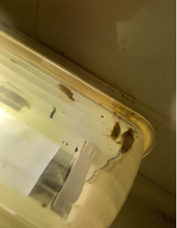 Image de Préfet de la Seine-Saint-Denis : #Fraude #ProtectionConsommateur #SécuritéduQuotidien
Les services de l’État se mobilisent pour lutt