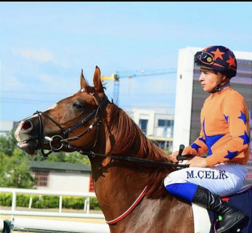 Seninle daha çoook tavla oynucaz yok öyle oyun bozanlık yapmak.
Sen demir adamsın tez zamanda döneceksin aramıza biliyorum.
Dualarım seninle Aslan kardeşim!!!

#MertcanÇelik