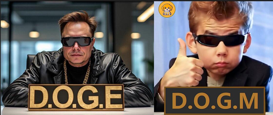 Dogecoin and Dogmcoin News tweet media