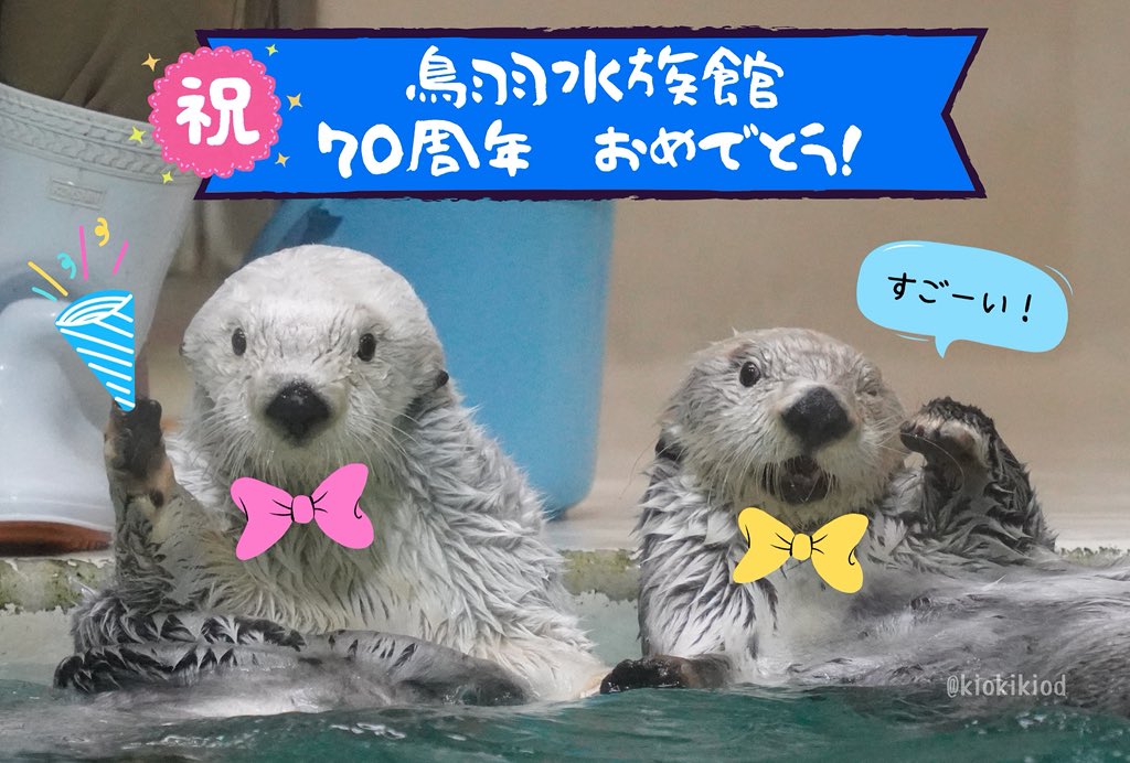 鳥羽水族館70周年 - Search / X