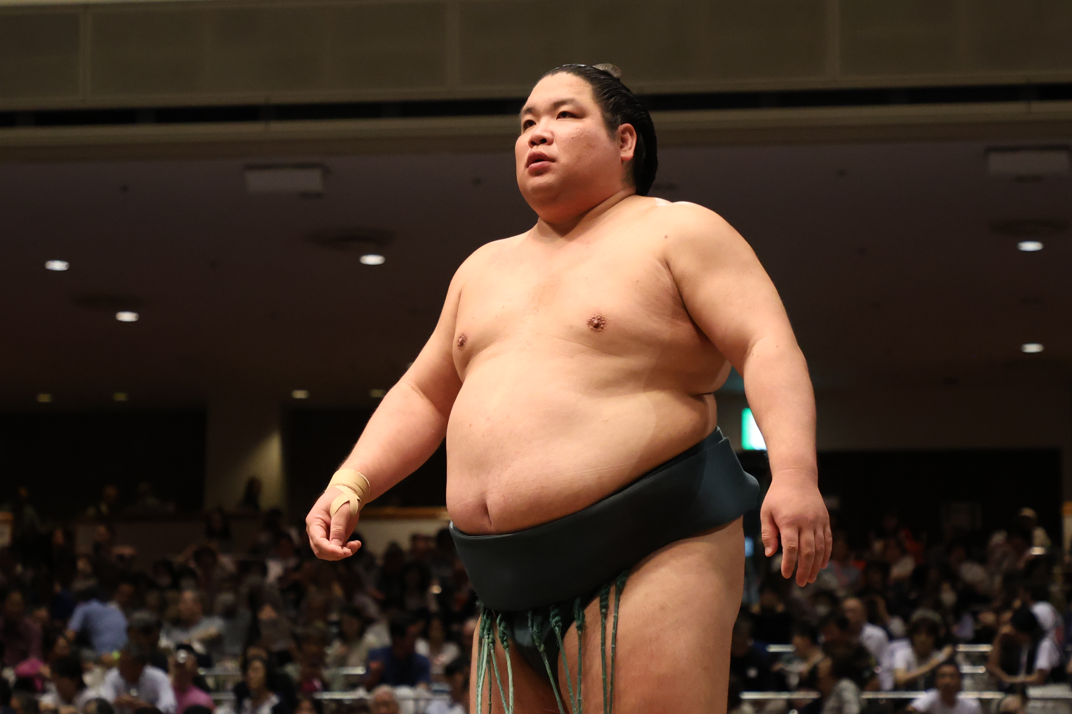 日本相撲協会公式 on X: 