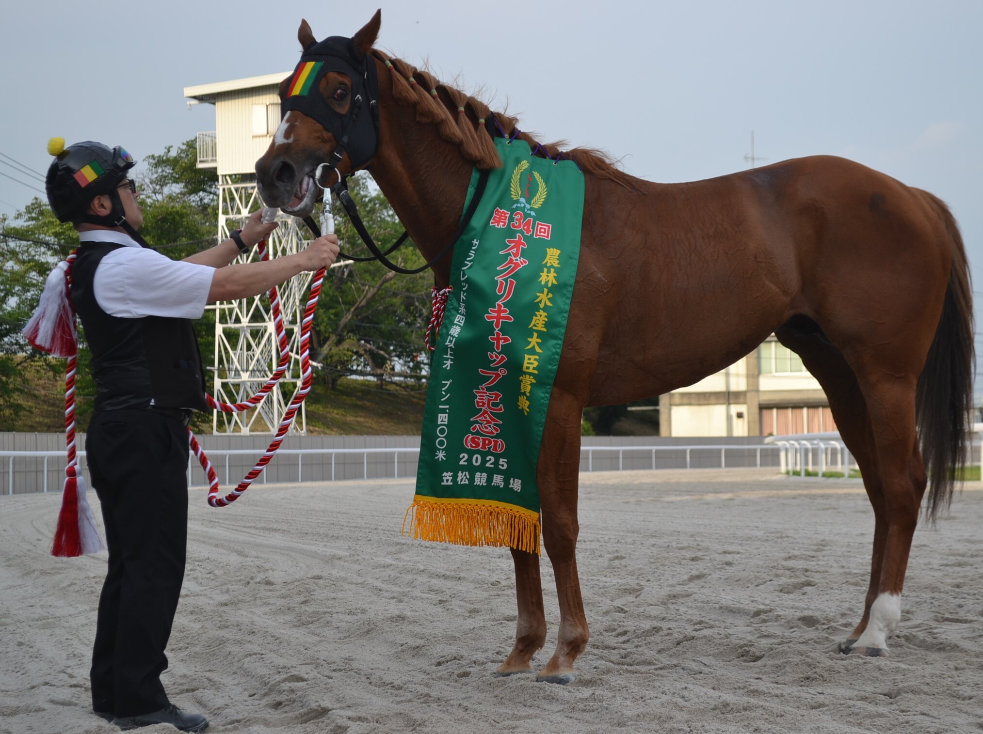 スポニチ競馬Web🐴 on X: 