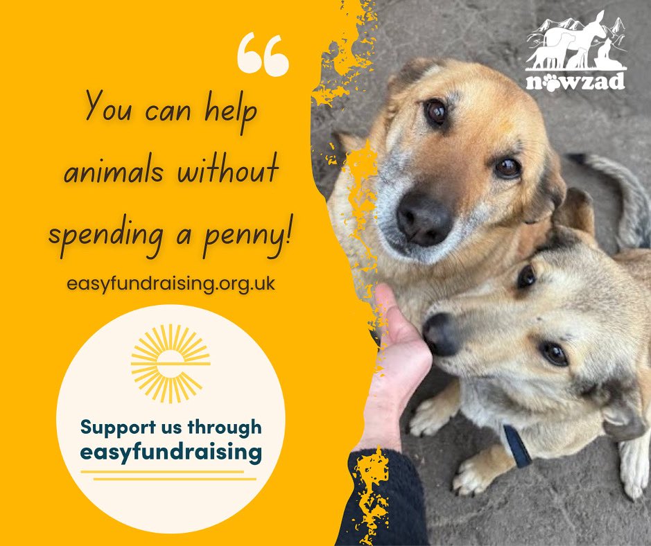 Nowzad's tweet image. If you love Online Shopping (& who doesn’t?!) you can help animals at the same time for FREE! 🐾
We’ve been proudly partnered with @easyuk for years & we’re STILL blown away by how easy it is to raise funds for Nowzad without spending an extra penny!
💡 Please sign up today 🙏