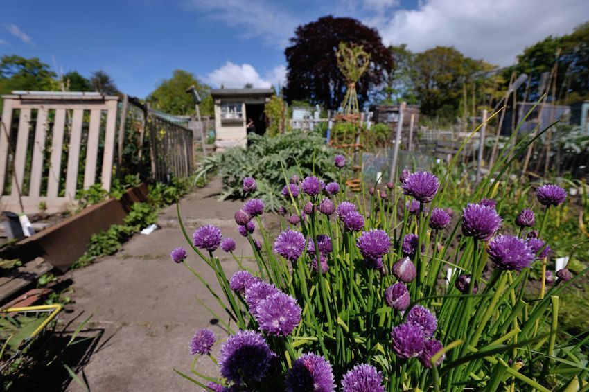 The City of Edinburgh Council (@edinburgh_cc) on Twitter photo Got any snaps of Edinburgh's beautiful greenspaces? Whether it's of the Meadows or your garden it could win you up to £100 in book tokens and become part of an archive of photo memories if you enter the <a href="/TalesOfOneCity/">Edinburgh Libraries</a> Unearthed Edinburgh photo comp 📷 talesofonecity.wordpress.com/2025/05/01/une… Got any snaps of Edinburgh's beautiful greenspaces? Whether it's of the Meadows or your garden it could win you up to £100 in book tokens and become part of an archive of photo memories if you enter the <a href="/TalesOfOneCity/">Edinburgh Libraries</a> Unearthed Edinburgh photo comp 📷 talesofonecity.wordpress.com/2025/05/01/une…