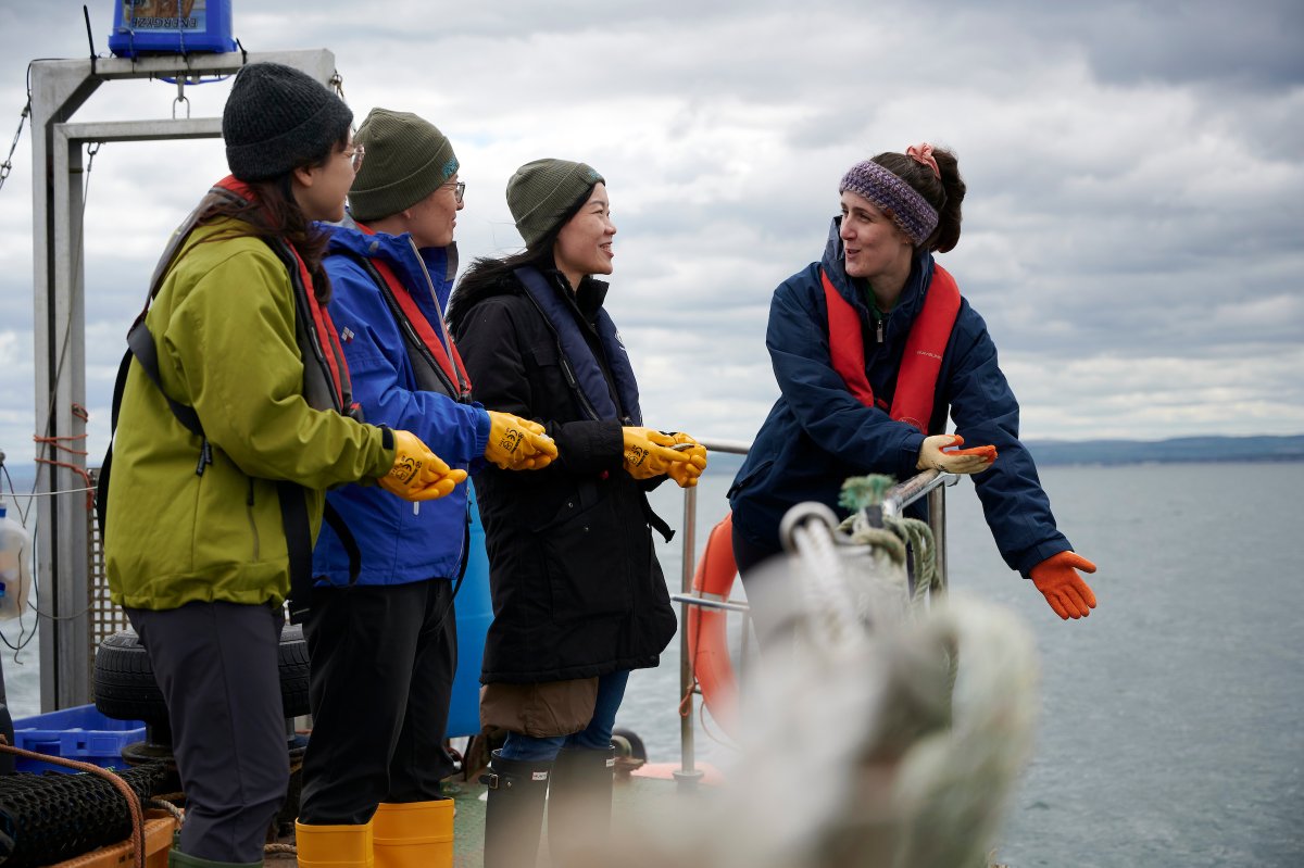 HWUNews (@hwunews) on Twitter photo Good news for nature – another 10,000 European flat oysters have been introduced to the Forth by #RestorationForth!
Huge thanks to <a href="/ELRECUK/">Edinburgh & Lothians Regional Equality Council</a> volunteers for their vital role in this award-winning marine revival.
More here: tinyurl.com/2x4tfzmv
#HeriotWattUni Good news for nature – another 10,000 European flat oysters have been introduced to the Forth by #RestorationForth!
Huge thanks to <a href="/ELRECUK/">Edinburgh & Lothians Regional Equality Council</a> volunteers for their vital role in this award-winning marine revival.
More here: tinyurl.com/2x4tfzmv
#HeriotWattUni