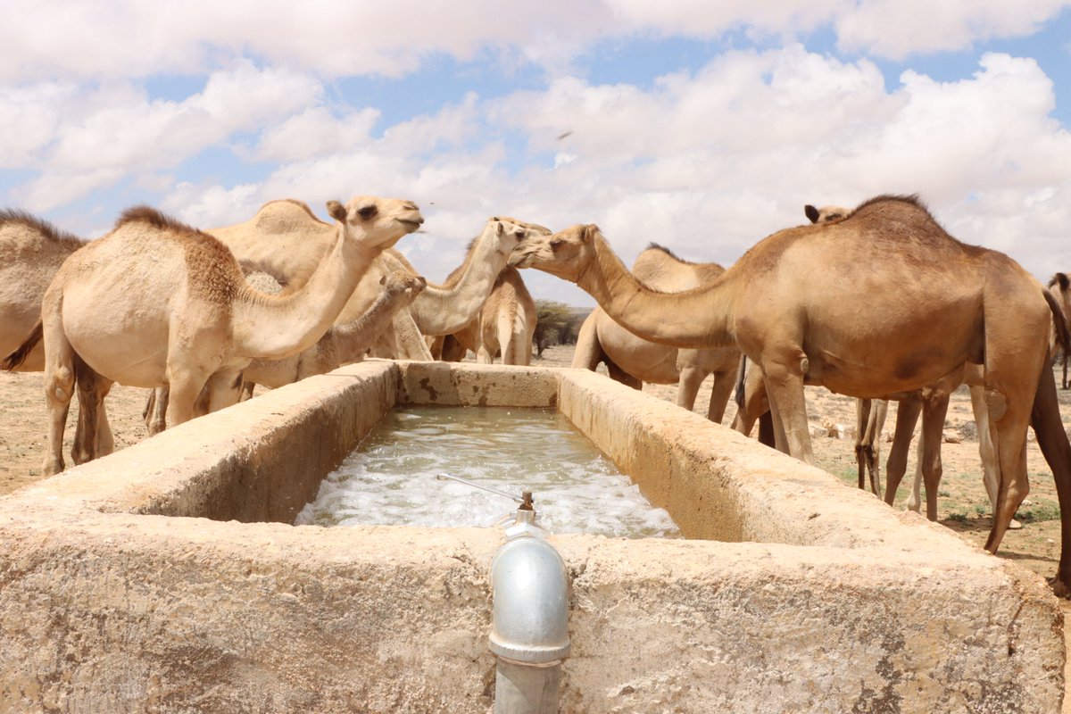 caresom's tweet image. @caresom SOMGAP project is providing vital support to drought-stricken communities by offering short-term fuel assistance to boreholes. This helps reduce the financial burden of accessing water, protecting both humans and livestock.