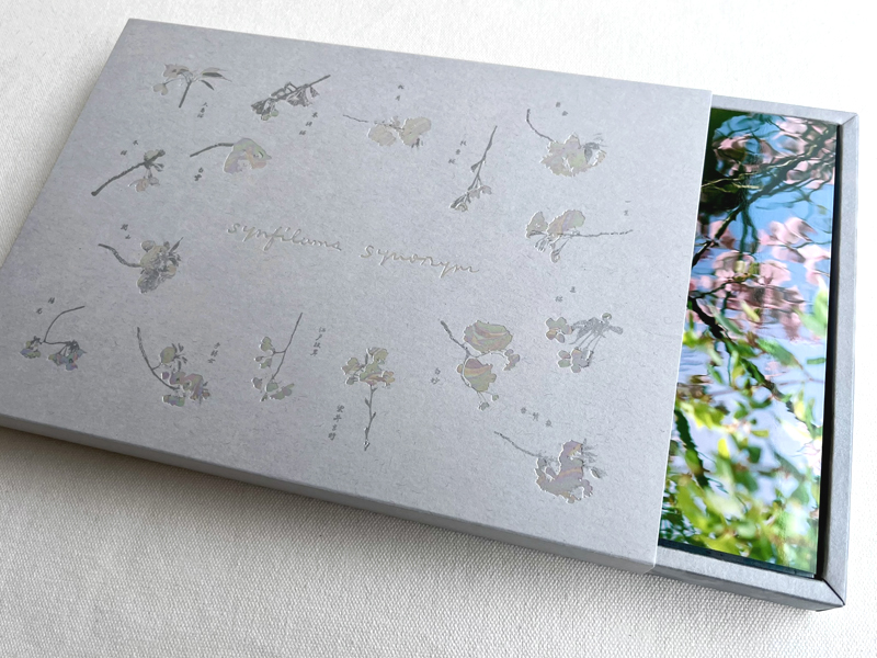 雨と休日 tweet media