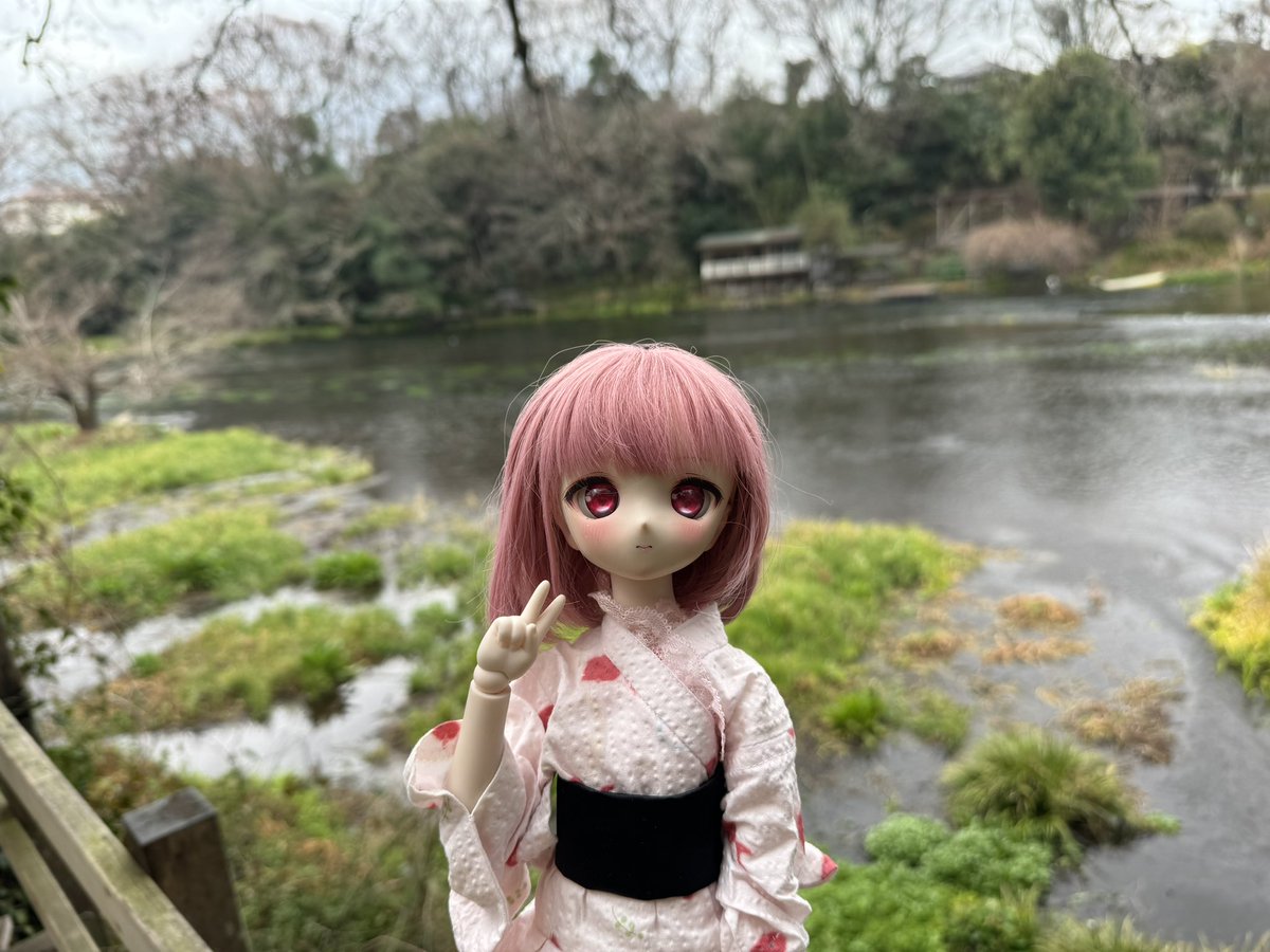 H_Yuri_28's tweet photo. 柿田川
#MDDはいいぞ #うちのこかわいい #ドール #ドールオーナーさんと繋がりたい #mtっ娘  #柿田川 #柿田川公園 #清水町 https://t.co/RNjj6vkDZ4