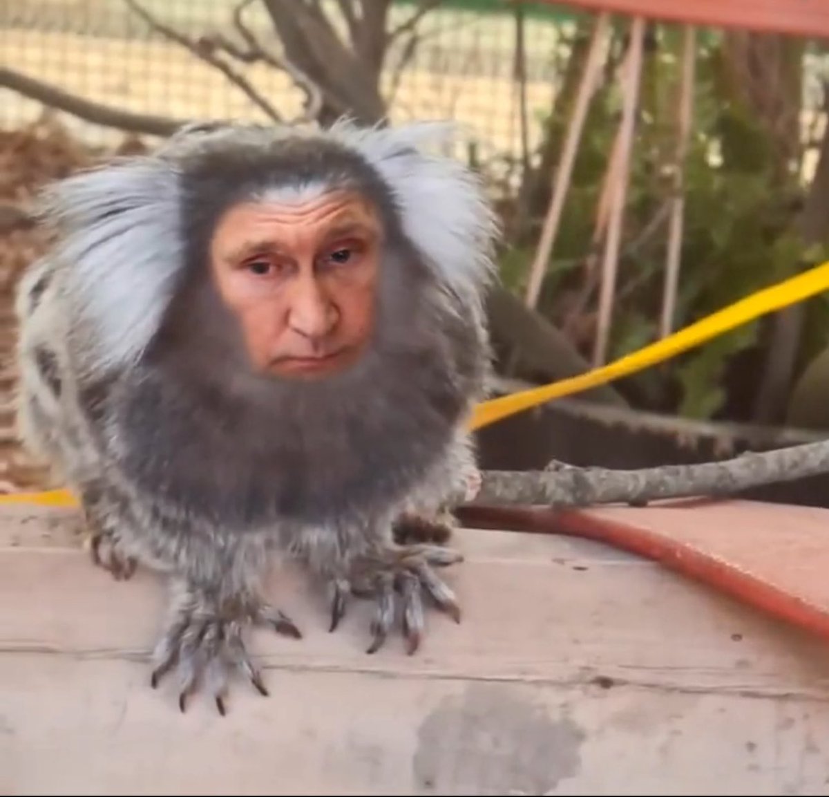 <a href="/cym27s/">VolgaLad</a>