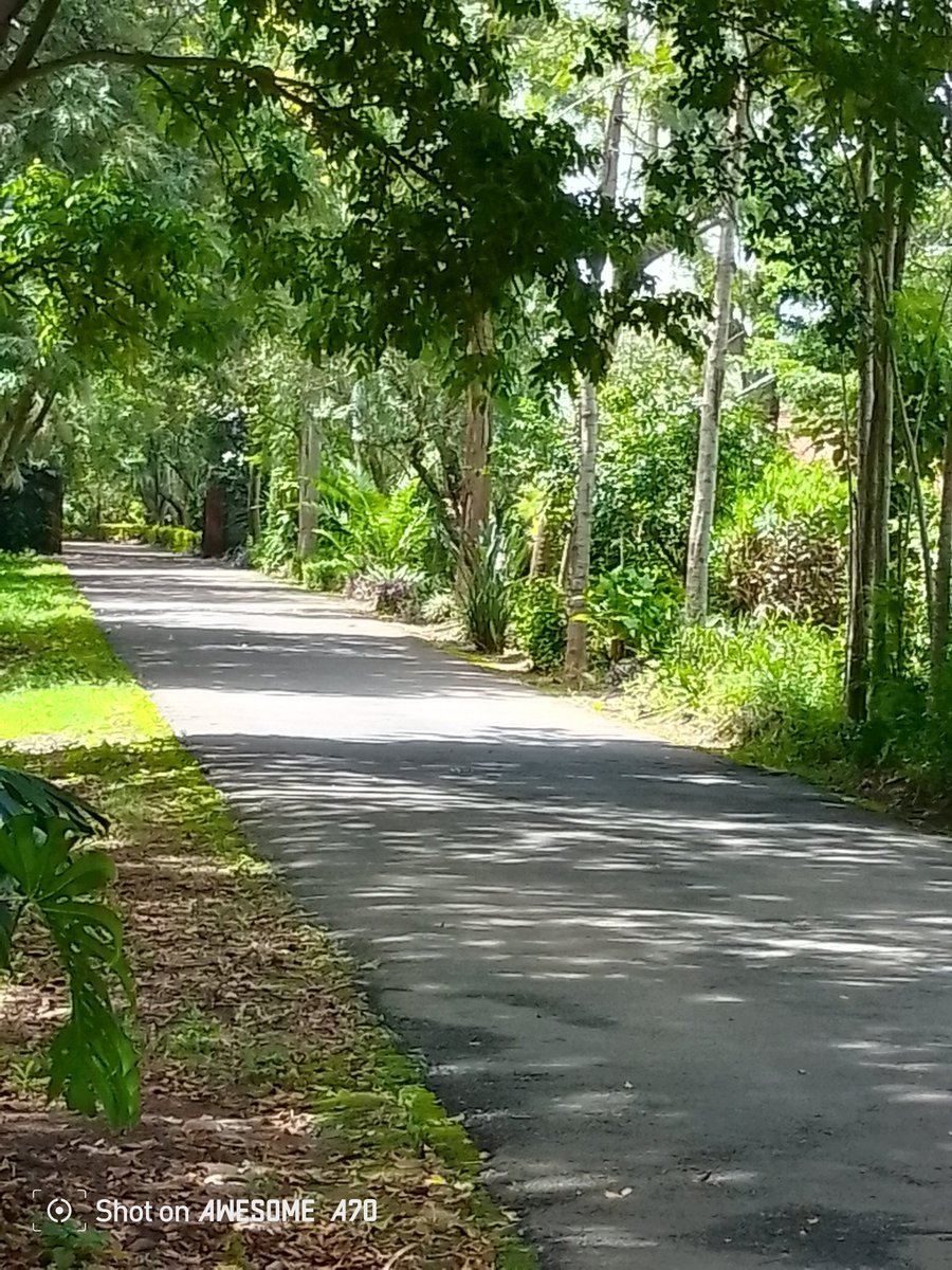 Nimetoka juja ndo nafika home for the long holiday 

Home sweet home 🥰