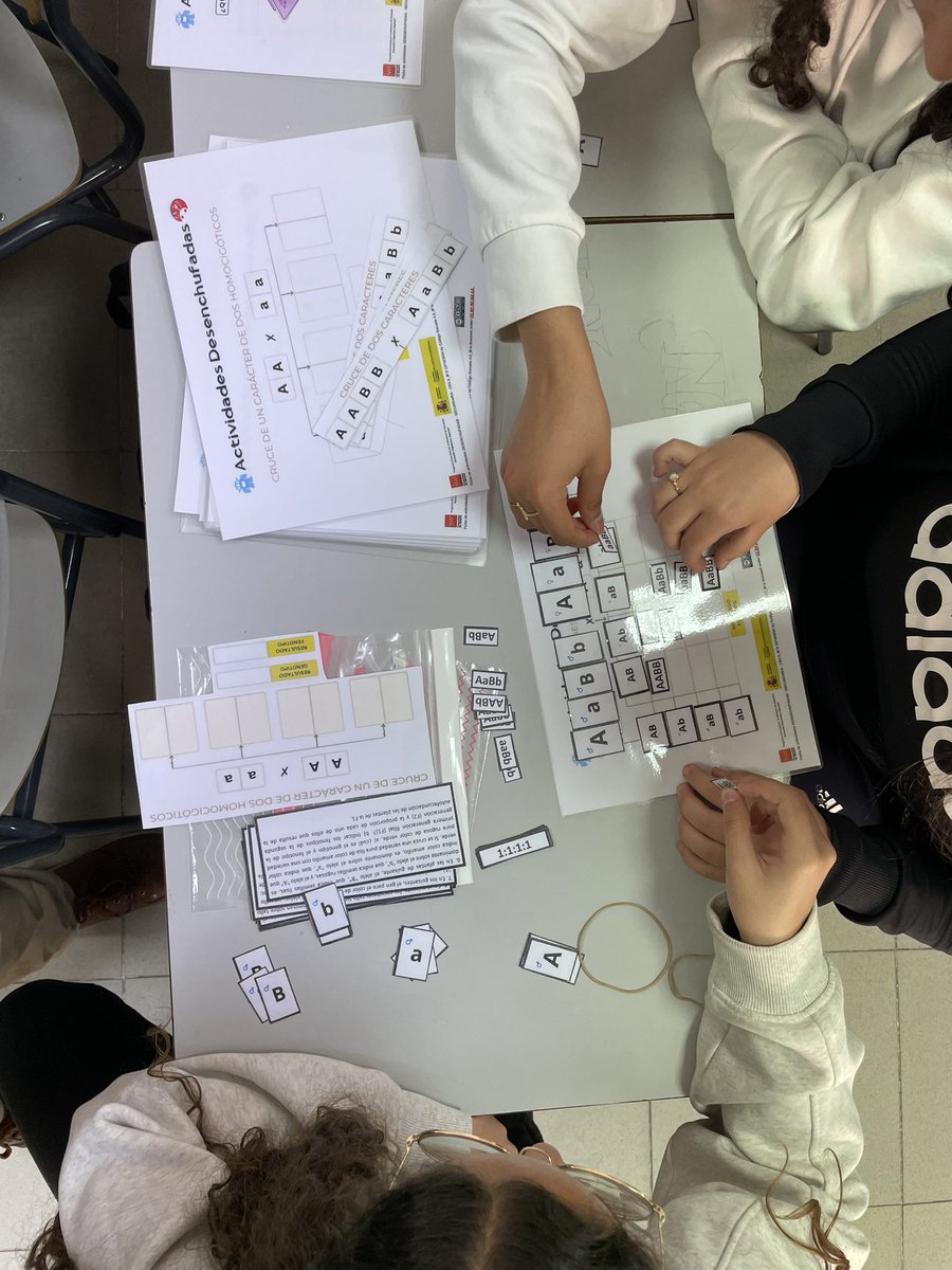 daniel_albertos's tweet image. Hoy hemos realizado la actividad desenchufada “Deconstruyendo a Mendel” con alumnos del @CarpeDiemFuenla para desarrollar habilidades de pensamiento computacional. Esta actividad, junto con otras, se pueden descargar desde la plataforma de #CodigoEscuela4_0_Madrid