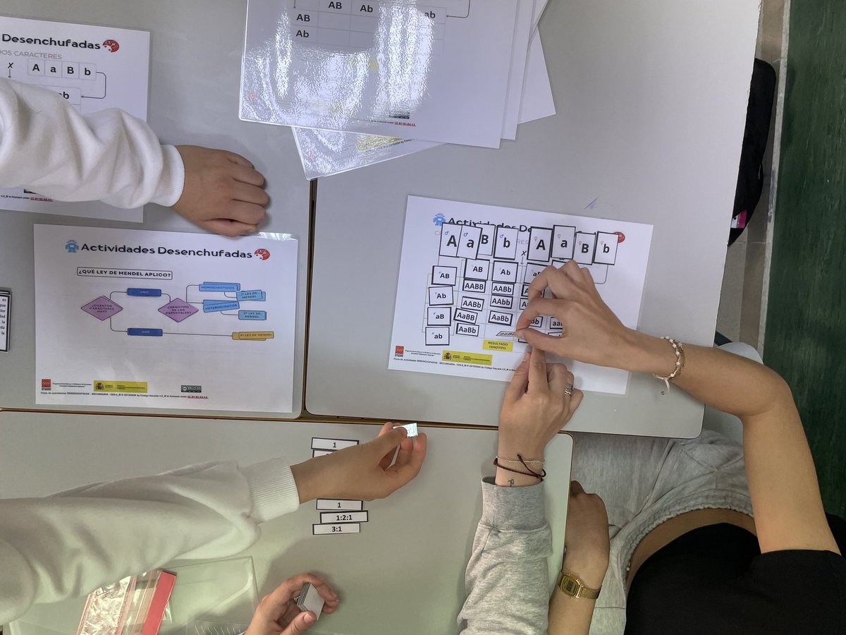 daniel_albertos's tweet image. Hoy hemos realizado la actividad desenchufada “Deconstruyendo a Mendel” con alumnos del @CarpeDiemFuenla para desarrollar habilidades de pensamiento computacional. Esta actividad, junto con otras, se pueden descargar desde la plataforma de #CodigoEscuela4_0_Madrid