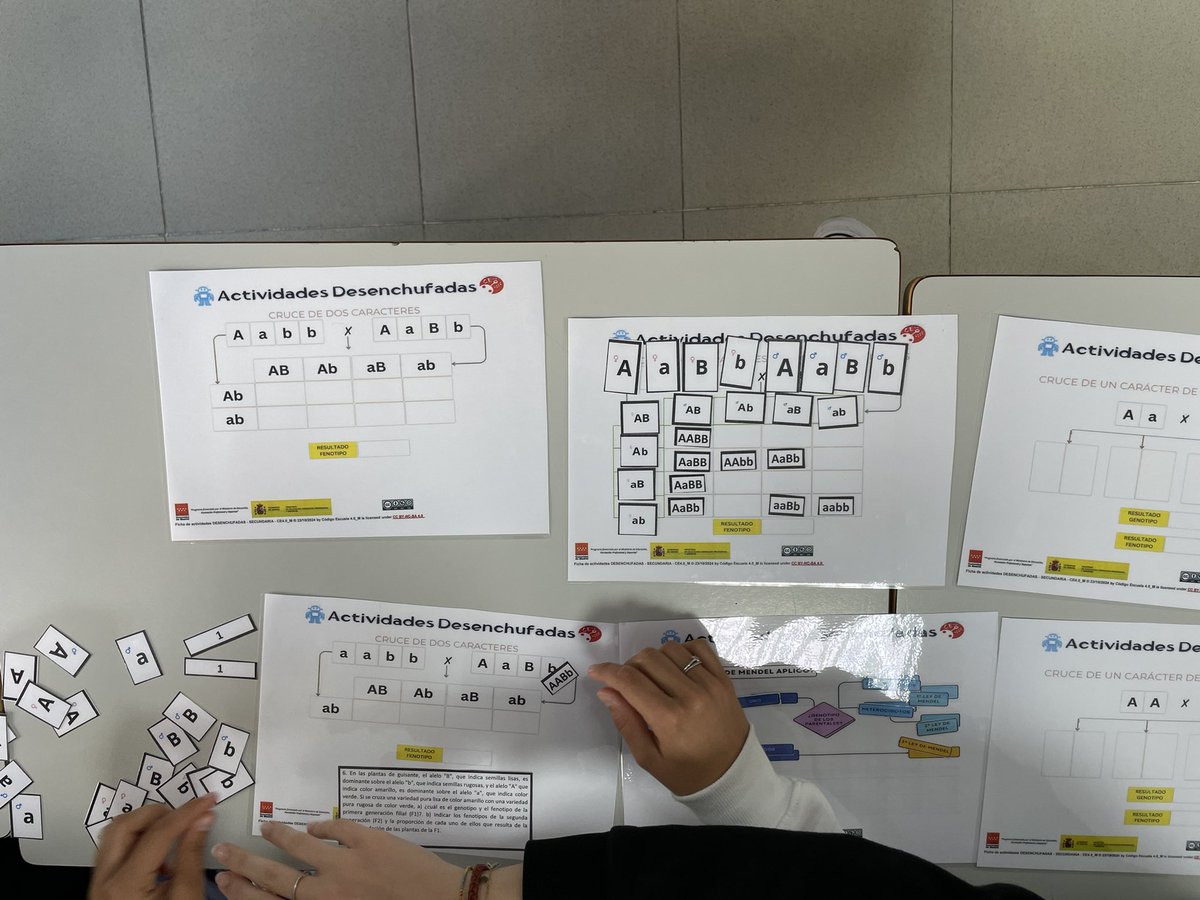 daniel_albertos's tweet image. Hoy hemos realizado la actividad desenchufada “Deconstruyendo a Mendel” con alumnos del @CarpeDiemFuenla para desarrollar habilidades de pensamiento computacional. Esta actividad, junto con otras, se pueden descargar desde la plataforma de #CodigoEscuela4_0_Madrid