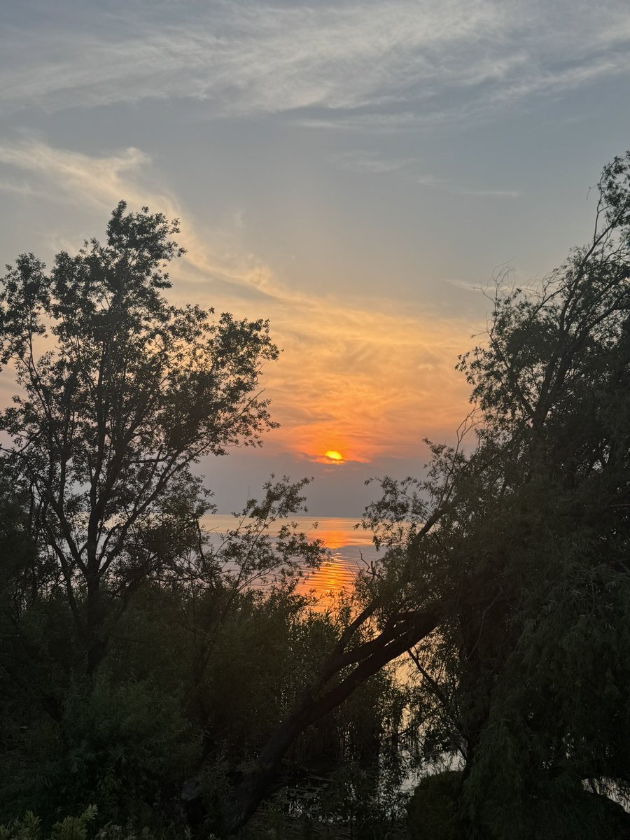 大黄金 tweet media