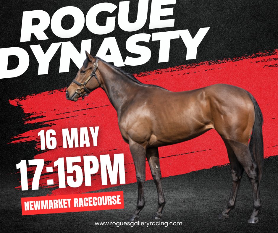 Rogues Gallery Racing (@roguesracing_) on Twitter photo We’ve always thought highly of Rogue Dynasty, and she makes her 3YO debut at <a href="/NewmarketRace/">Newmarket Racecourse</a> this Friday 🏇
The David Loughnane-trained daughter of Siyouni steps into handicap company for the first time over 6f, with Mason Paetel aboard.
#RogueDynasty #FlatRacing #UKHorseRacing We’ve always thought highly of Rogue Dynasty, and she makes her 3YO debut at <a href="/NewmarketRace/">Newmarket Racecourse</a> this Friday 🏇
The David Loughnane-trained daughter of Siyouni steps into handicap company for the first time over 6f, with Mason Paetel aboard.
#RogueDynasty #FlatRacing #UKHorseRacing