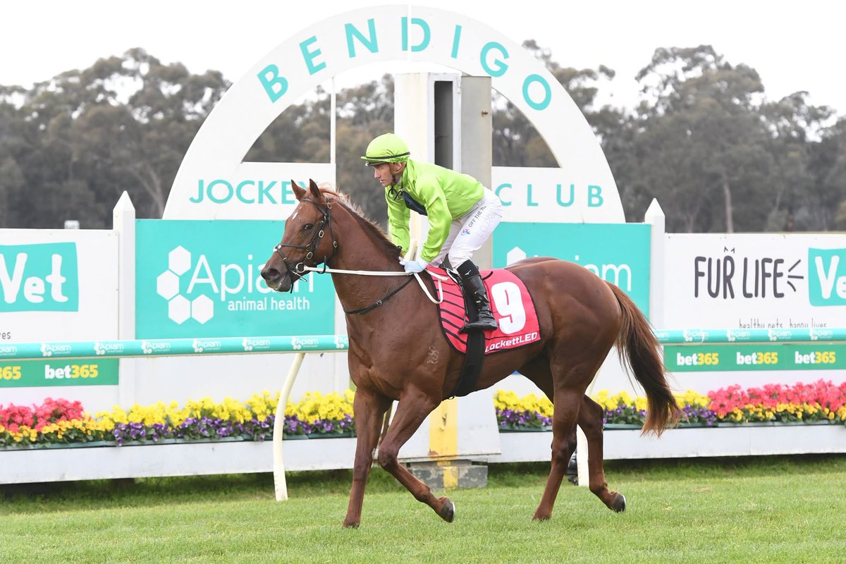Bendigo Jockey Club (@_bendigojc) on Twitter photo We’re thrilled to officially welcome the <a href="/MickPriceRacing/">Price Kent Racing</a> trained, Reserve Bank, to the Nursery of Champions Honour Roll.
Winning his maiden at Apiam Bendigo back in June 2024, Reserve Bank won the 2025 G1 Goodwood Hcp at <a href="/SAJockeyClub/">Morphettville Racecourse</a> last Saturday.
Congrats to all We’re thrilled to officially welcome the <a href="/MickPriceRacing/">Price Kent Racing</a> trained, Reserve Bank, to the Nursery of Champions Honour Roll.
Winning his maiden at Apiam Bendigo back in June 2024, Reserve Bank won the 2025 G1 Goodwood Hcp at <a href="/SAJockeyClub/">Morphettville Racecourse</a> last Saturday.
Congrats to all