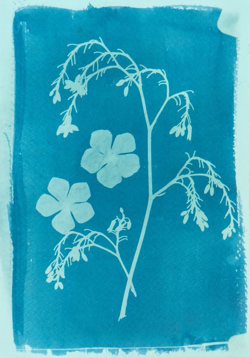 As the semester comes to a close, I’m reflecting with a full heart on my journey as a graduate TA. Teaching brings me immense joy. And this time, I received far more than 2 credit points. I thank every student for their love and appreciation. 🙏🏻

 #PhDlife  #TAship <a href="/AshokaUniv/">Ashoka University</a>