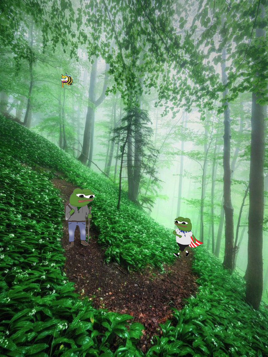 GM frens!🙏☀️

Two Strangers about to be Frens Forever.