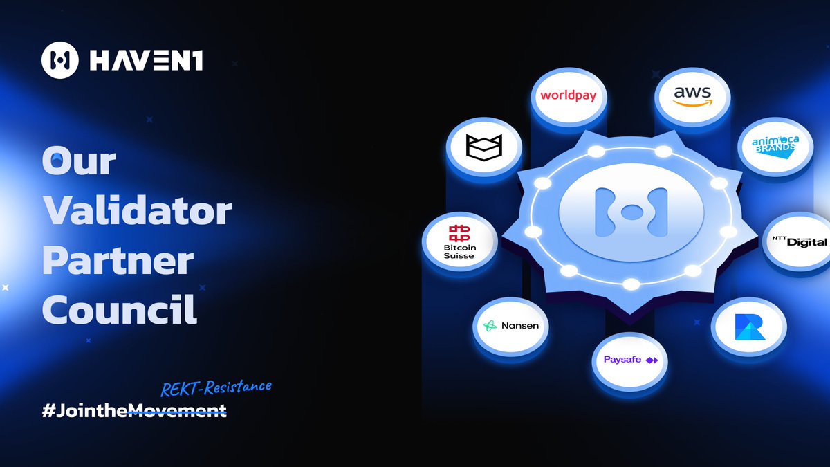 Haven1 🧑🚀 tweet media