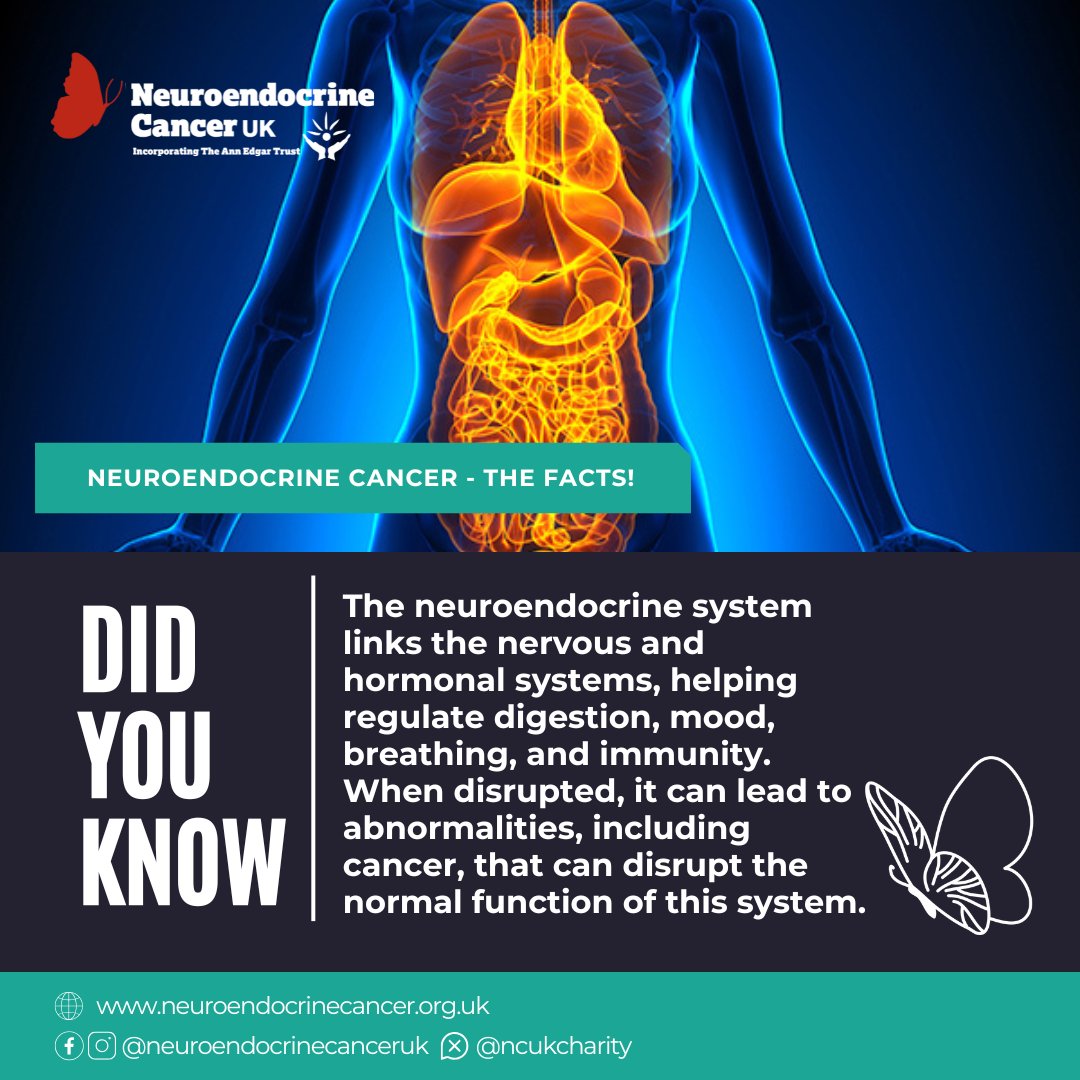 The neuroendocrine system bridges the nervous &amp; endocrine systems, influencing everything from gut function to immune response.

It’s also central to understanding complex cancers like neuroendocrine cancer.