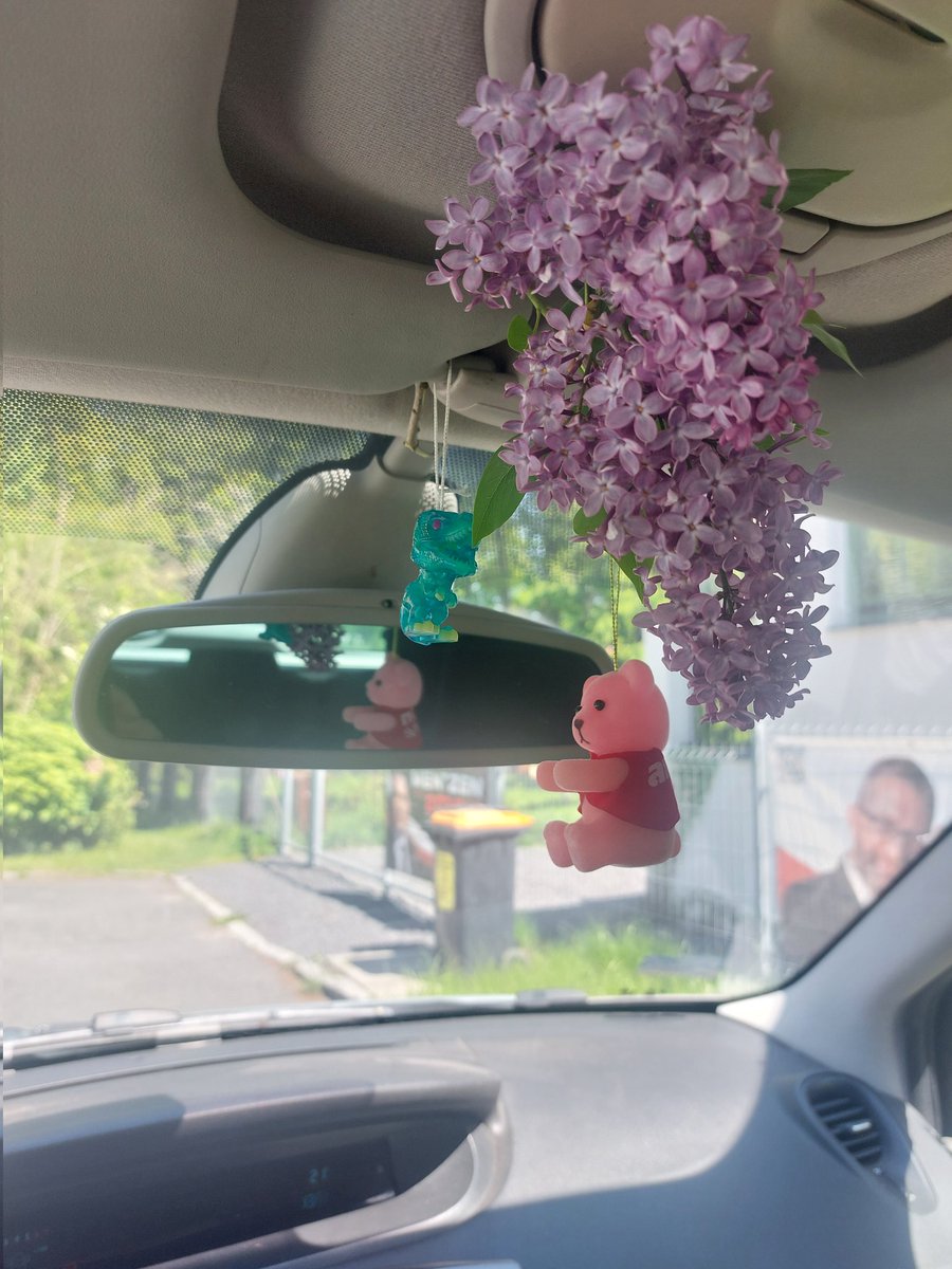 Kiatan9339's tweet photo. I'm just girl 
#carstuff #lilac #flower #dinosaurs #keychain https://t.co/38cKOlIyLC