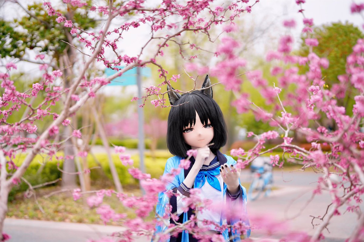 赏花

桐生 桔梗
#BlueArchive #kigurumi  #ブルアカ