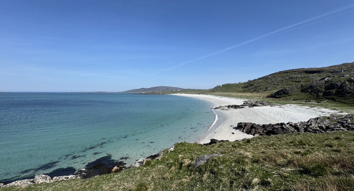 Andy Howard tweet media