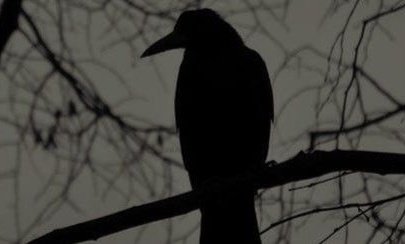 𝘓𝘰𝘰𝘯𝘪𝘦 ☾⋆˚.⋆ tweet media