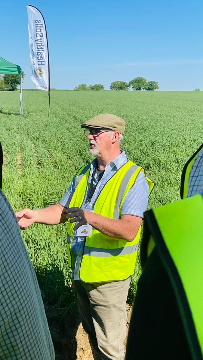 Hutchinsons tweet media