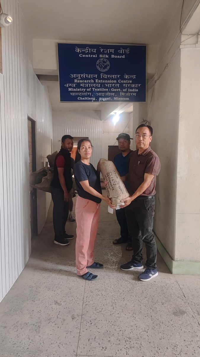 CsrtiBerhampore's tweet photo. 🌿 Boosting Silk Production in Mizoram! 🐛
TR-23, a new mulberry variety, was successfully established with 10 farmers in the hill regions by REC Aizawl, using planting material from CSRTI Berhampore under FFT initiative.
#SilkProduction #MulberryFarming #Mizoram #CSB #TR23 https://t.co/QSSNffKeD6