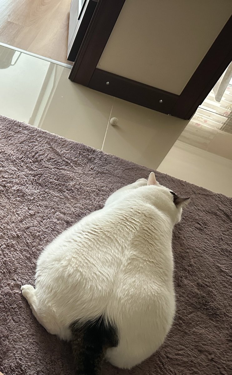 Sağlık Bakanı Kemal Memişoğlu:
“Fazla kilolu bireyler tespit edilerek Sağlıklı Hayat Merkezleri ve Aile Sağlığı Merkezlerine yönlendirilecek.”