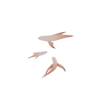 oceansbrush's tweet image. 