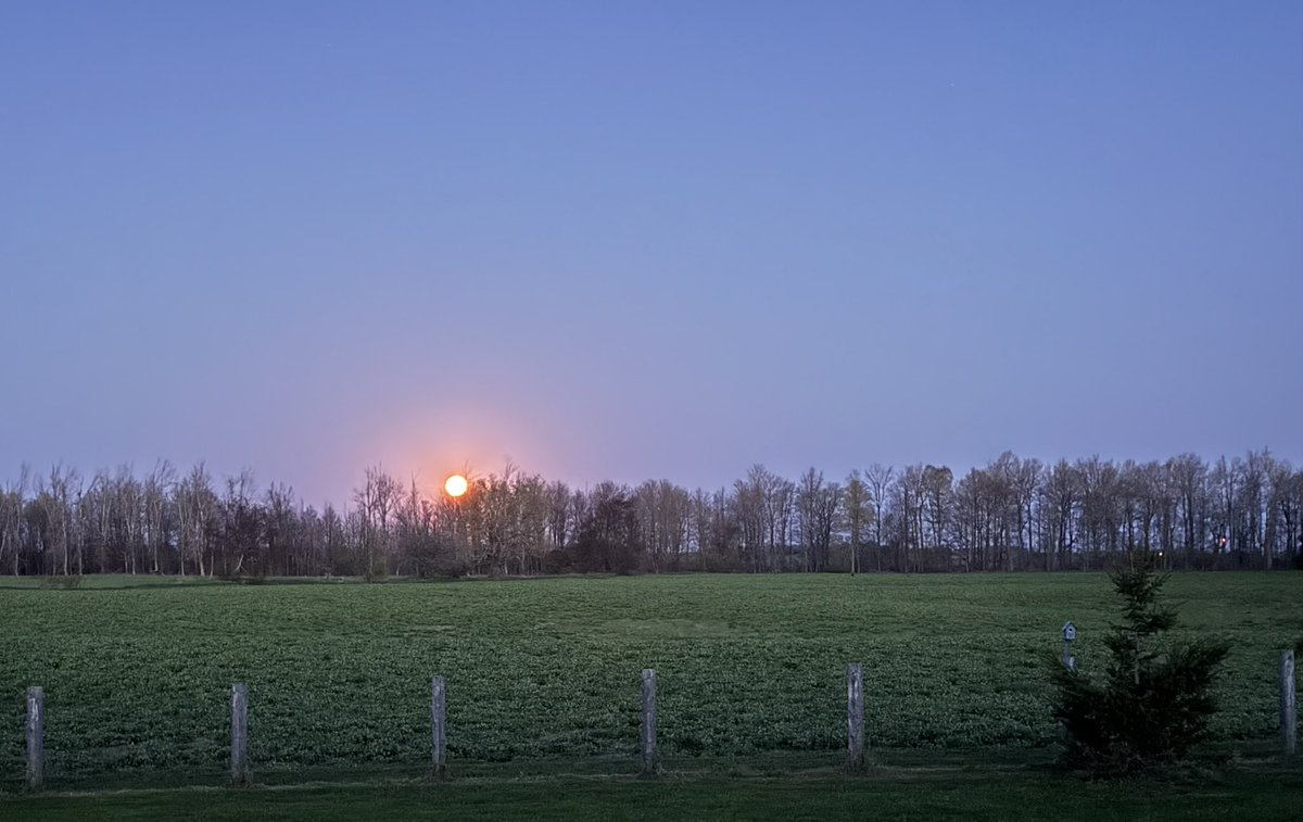 The setting moon.