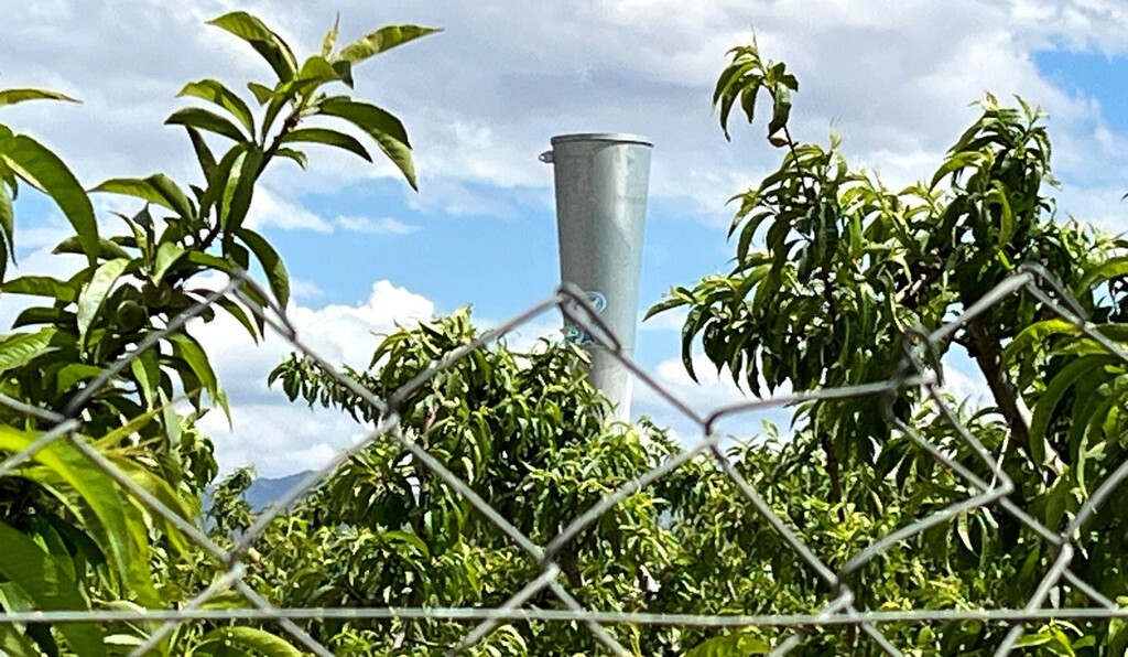 Un vecino de Caudete denuncia el estruendo y las molestias que produce un cañón antigranizo situado en el término municipal
Lee la noticia completa: ift.tt/RImA2TZ