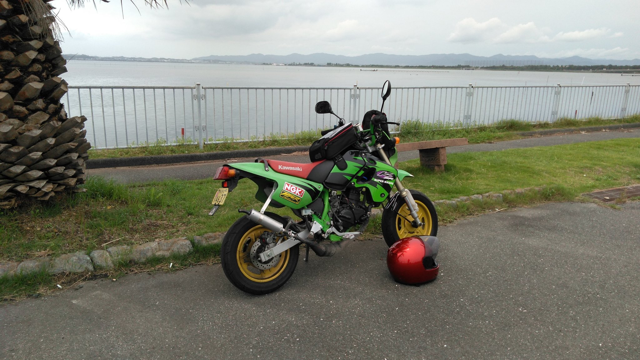 zx11 - Search / X