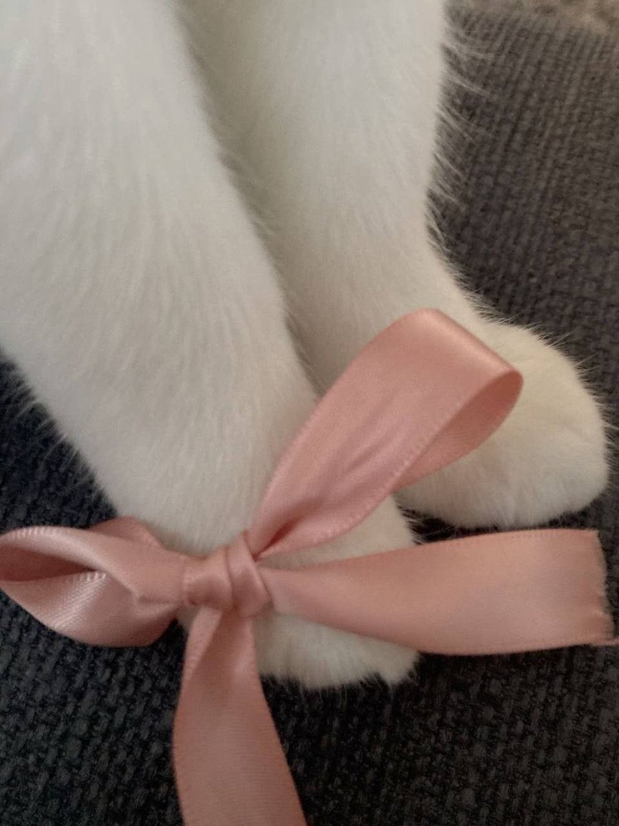 Лапки моей дочери.