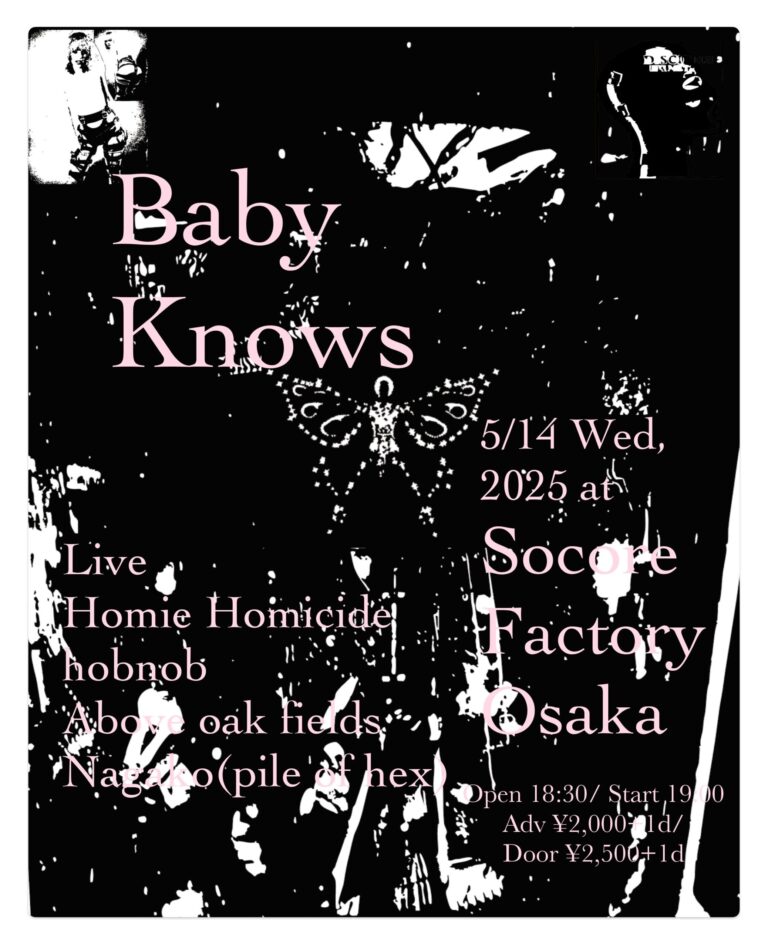 SOCORE FACTORY tweet media